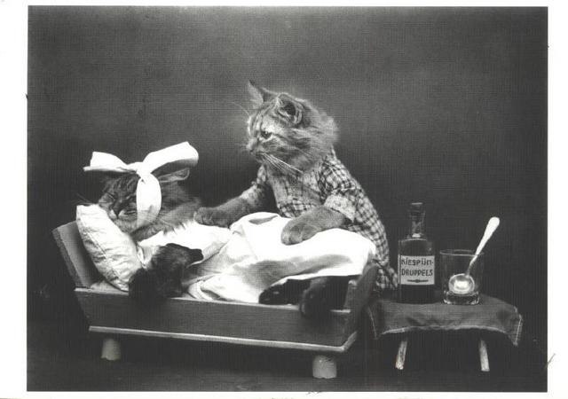 Алёна Гаузяк | Красногорск