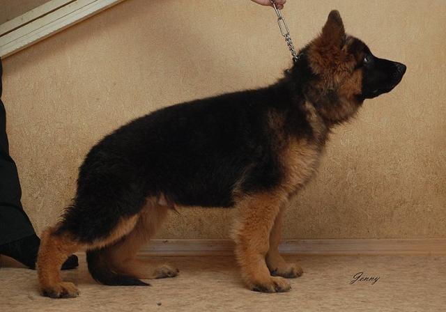 Екатерина Гравшенкова | Хабаровск