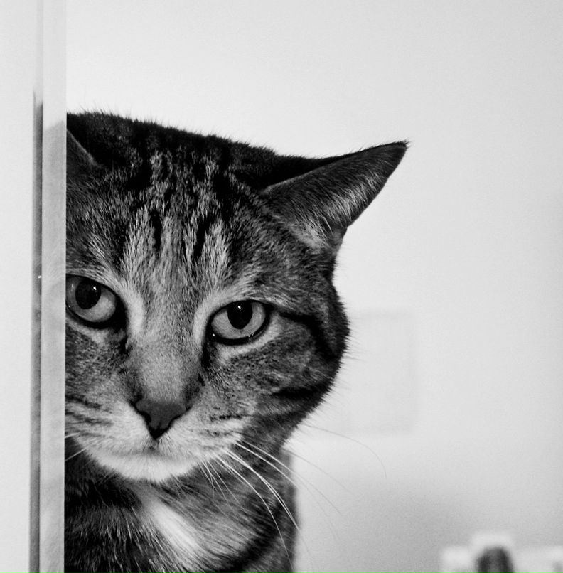 Станислав Евсеев | Алексин