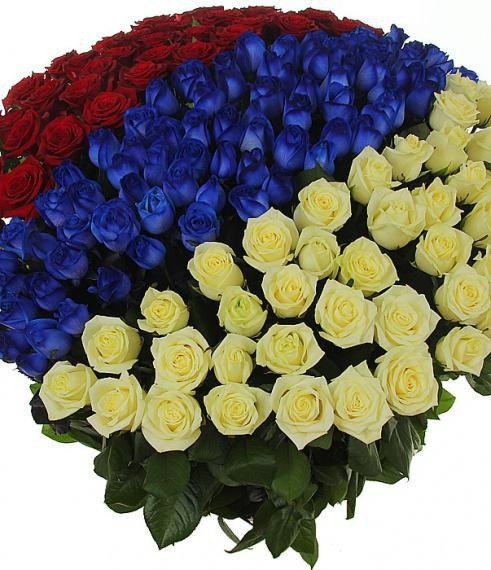 Андрей Строгонов | Москва