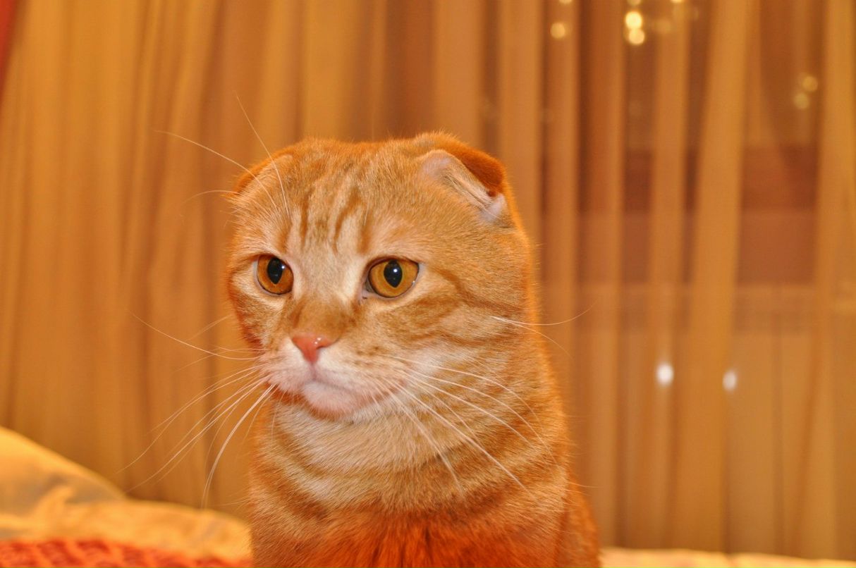 Алексей Елькин HandsomE | Одесса