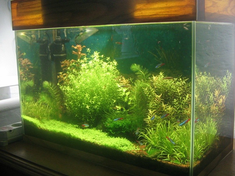 Зульфат Бабаев ℂ⋆ | Тюмень