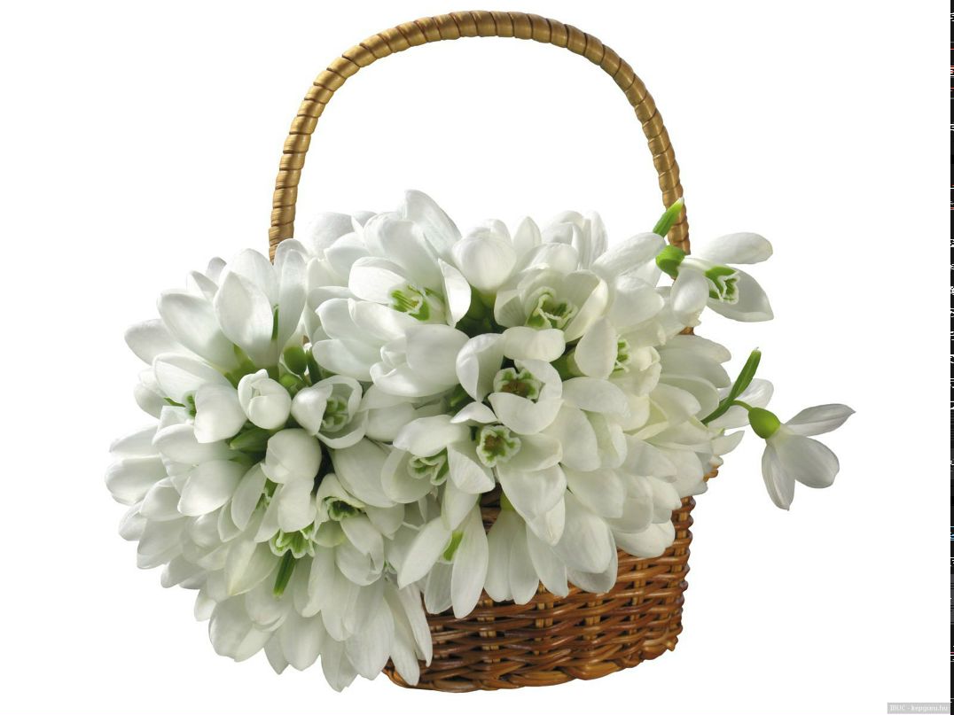 Anna Konoshevich | Чернигов