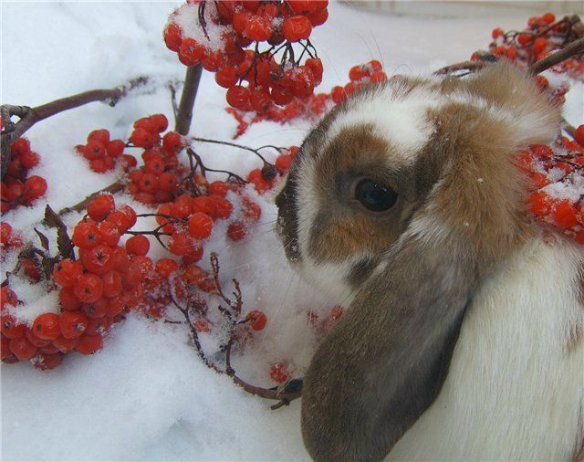 №13, Макс Милиан, 48 лет, Павлово, Россия №13, Макс Милиан, 48 лет, Павлово, Россия