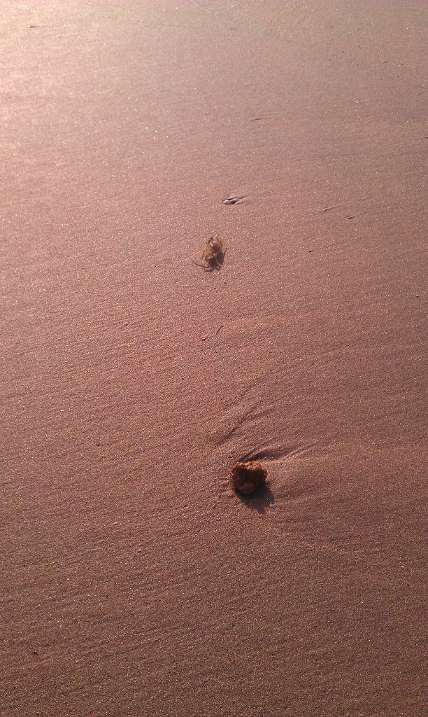 Марина Комарова Violet | Москва