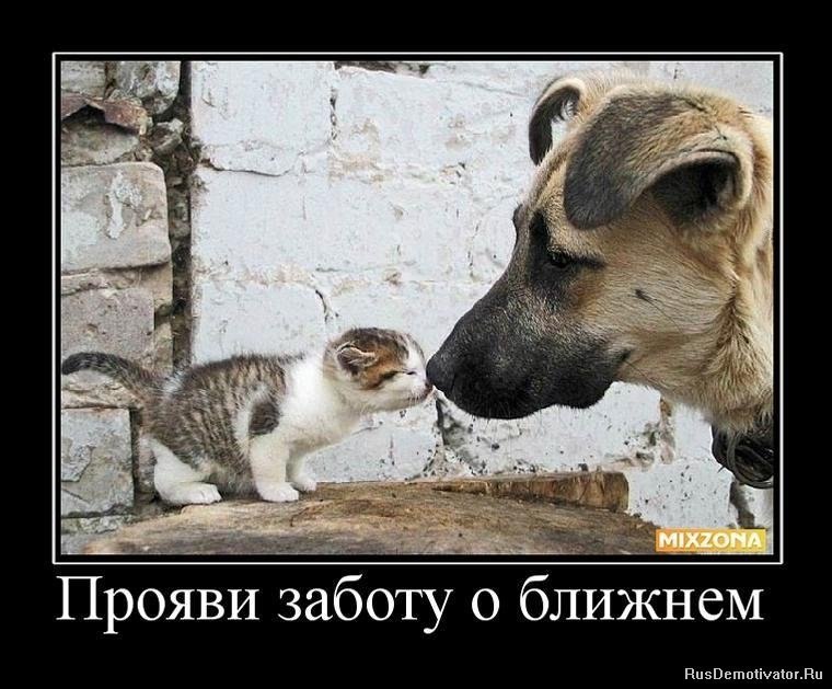 Татьяна Бубнова | Петрозаводск