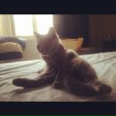 №19, Карина Зиновьева, 27.2, Москва, Россия