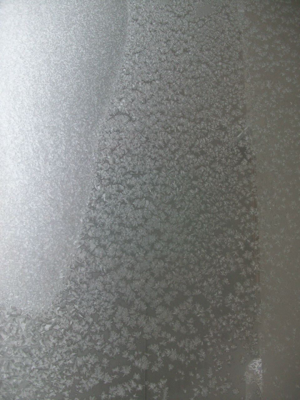 Евгений Статкевич ака Igemon | Тель-Авив