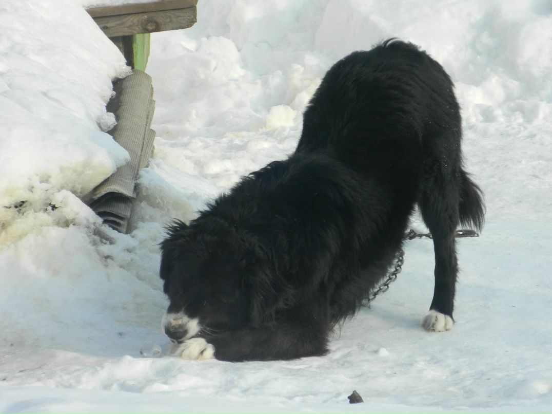 Ирина Карпухина | 