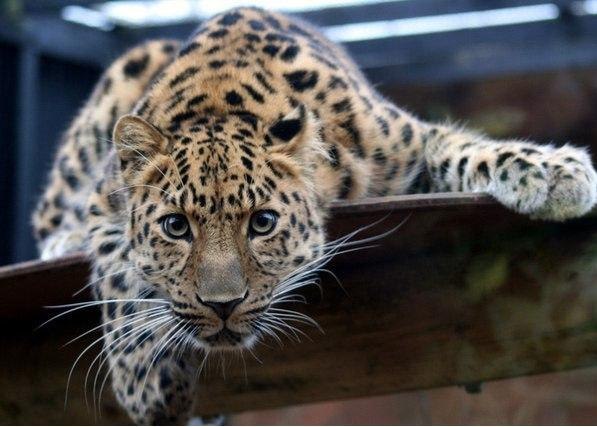 Майя Утицких | Новороссийск