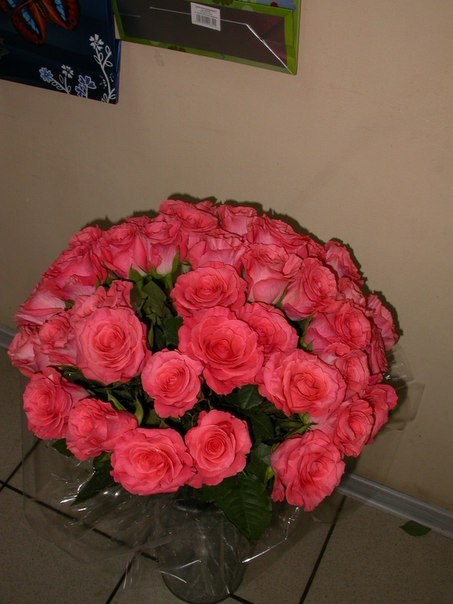 Анечка Наумова *** | Москва