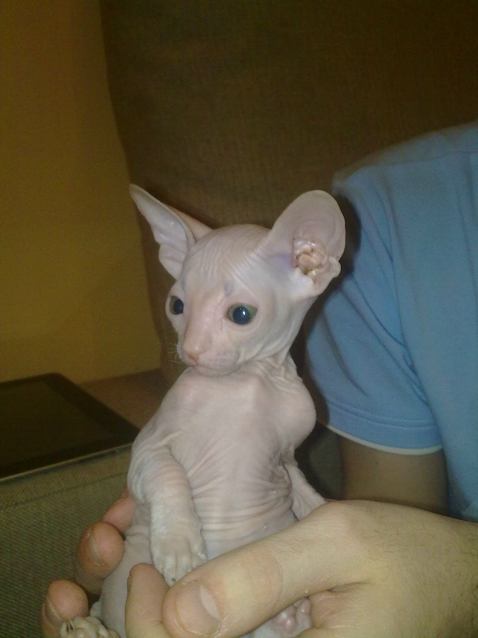 Ульяна Скуратова | Тюмень