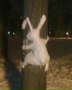 №38 Анютка Тишина 16.08: профиль, фото, статус - ВКонтакте