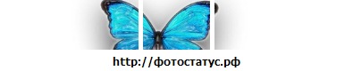 №137, Ирина Билоусенко, 36 лет №137, Ирина Билоусенко, 36 лет