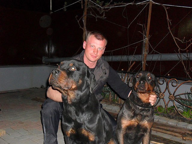 Женя Данилюк | 