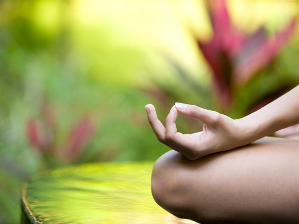 Лера Петросян | Санкт-Петербург