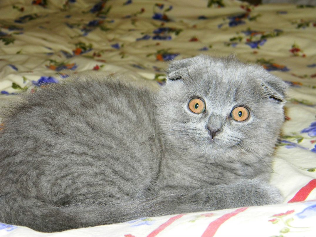 Юлия Паничкина | Нижний Новгород