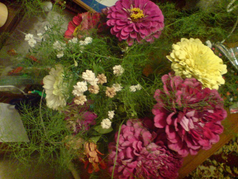 Танюшка Волкова ) | Нижний Новгород