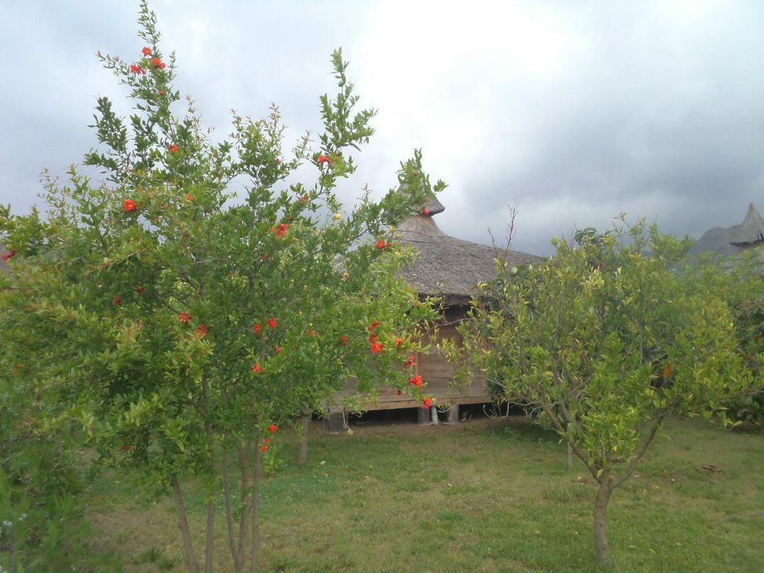 Эльмира Белялова | Москва