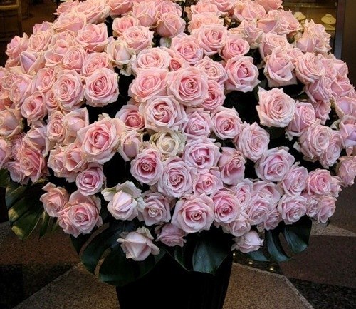 Настя Кучмина OPIUM | Toronto