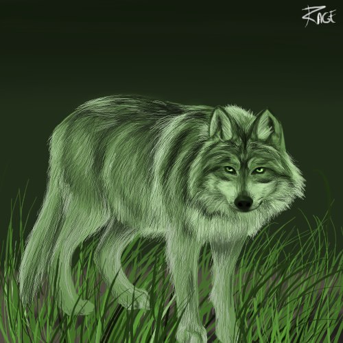 Владислав Прытких | Тюмень