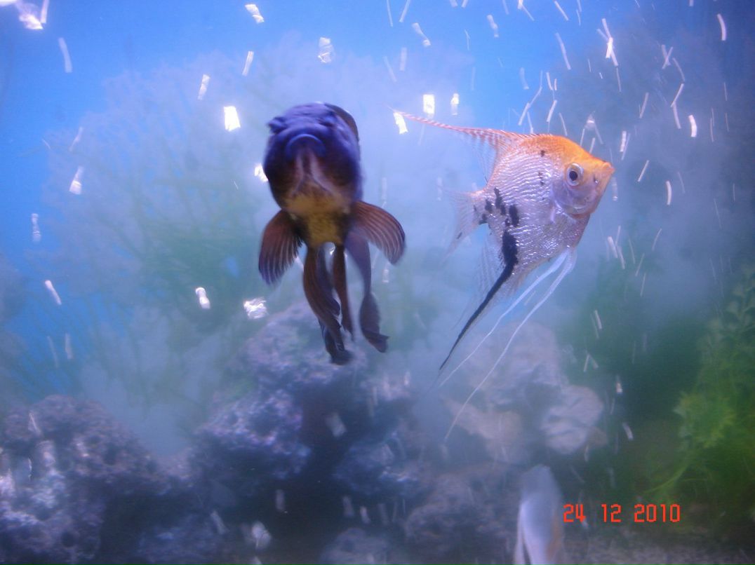 Светлана Логинова | Пермь