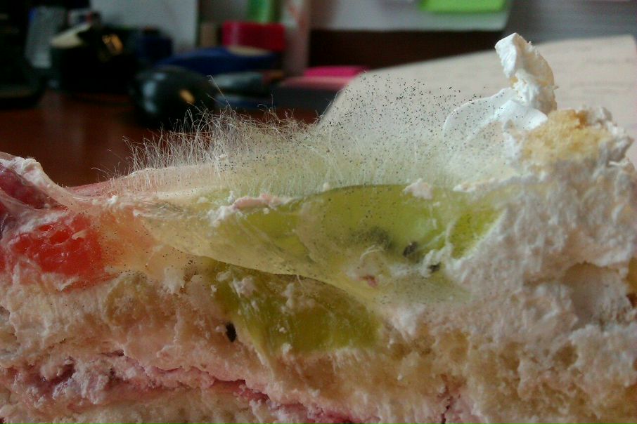 №105, Татьяна Улитина №105, Татьяна Улитина