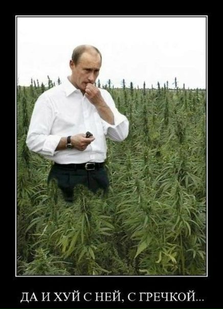 №15, Алексей Костырко, Киев №15, Алексей Костырко, Киев