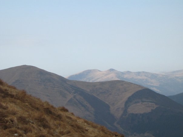 Наталія Тацишин-Войчишин | Ивано-Франковск