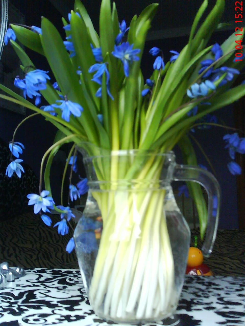 Людмила Дмитренко | Сумы