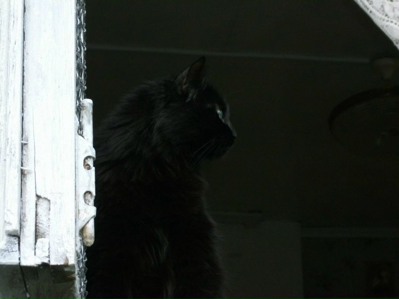 Сергей Паршин ZVEZDEC | Томилино