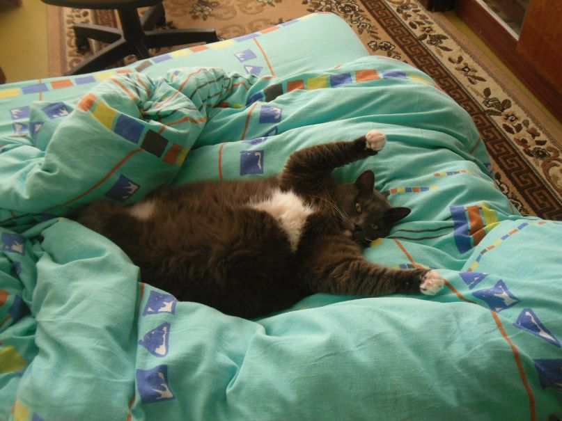 Анна Михеева | Мурманск