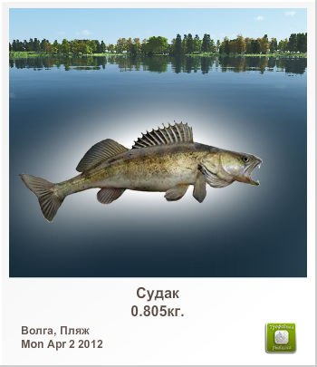 Сергей Лисин | Киев