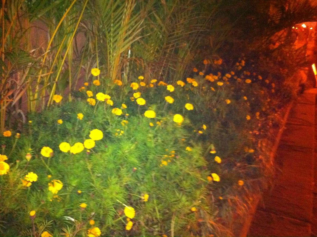 Евгений Макаров | Нижний Новгород