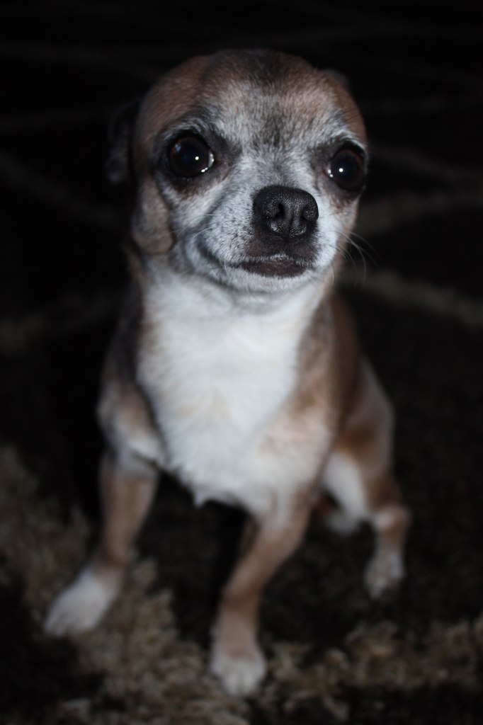 Anna Häyrinen | Vantaa