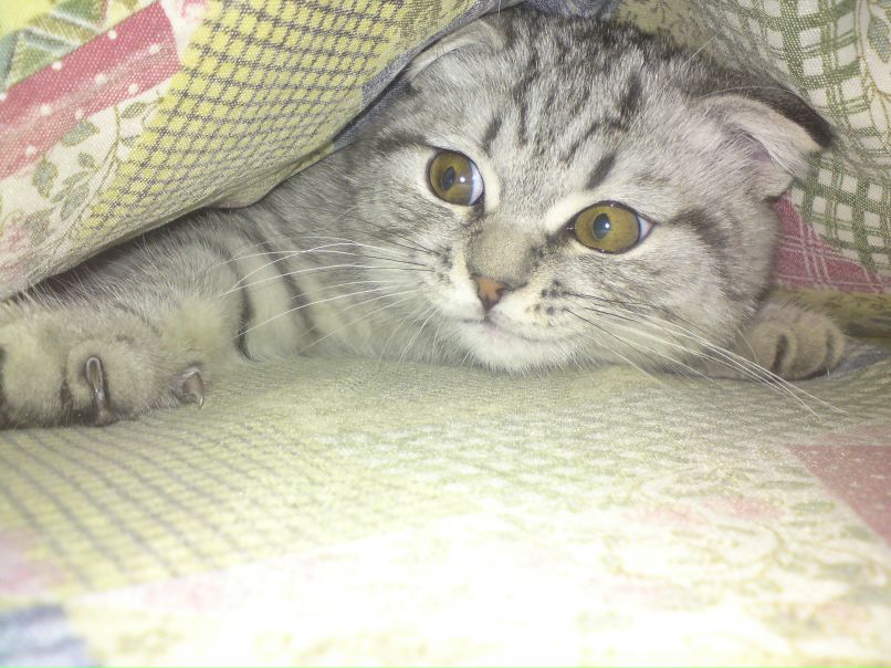 Таня Смирнова | Санкт-Петербург