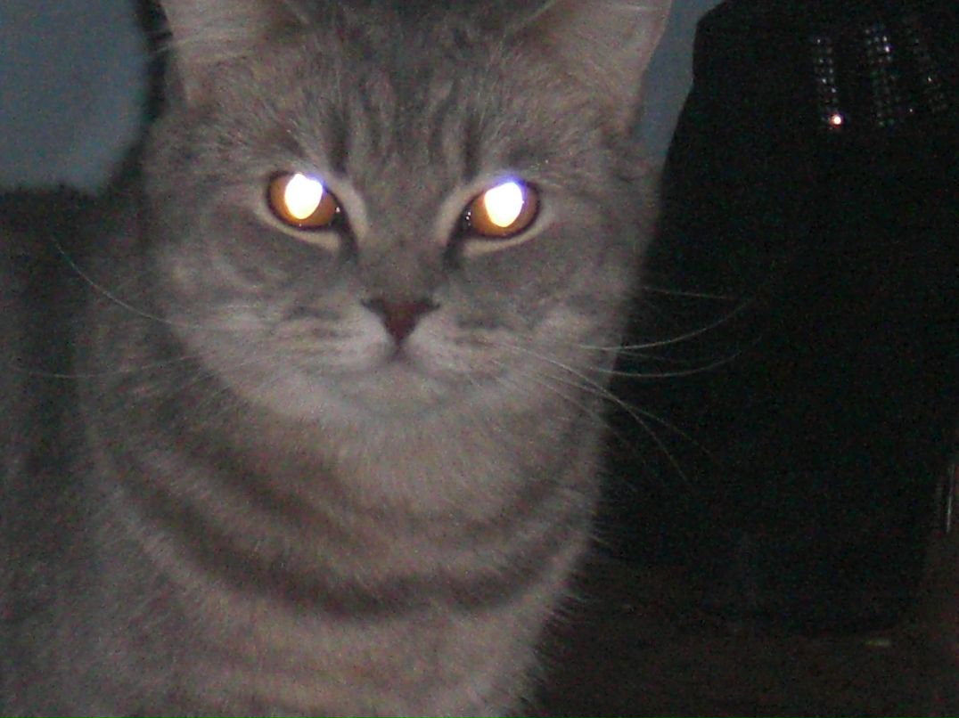 Дамир Шакиров Хамитович | Нижнекамск