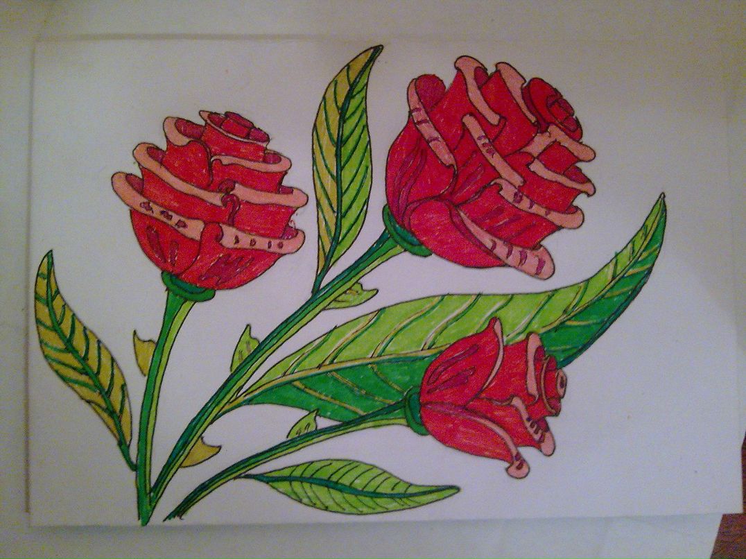 Егор Пермяков | Петрозаводск