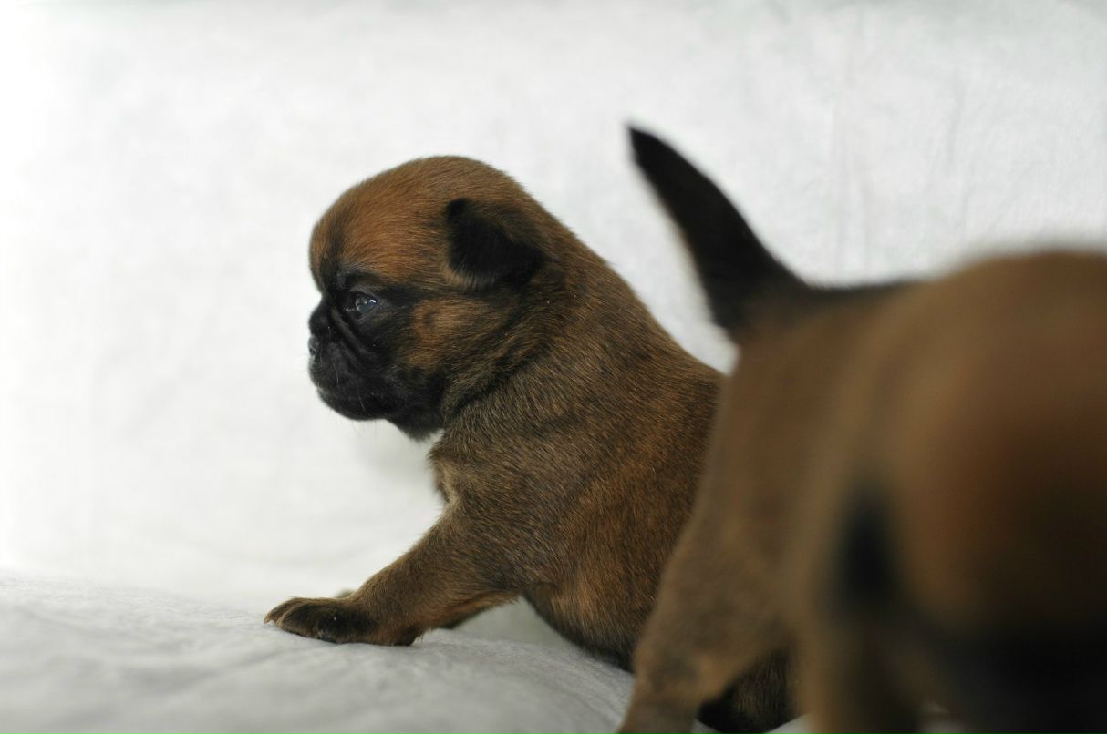 Алёна Котова | 