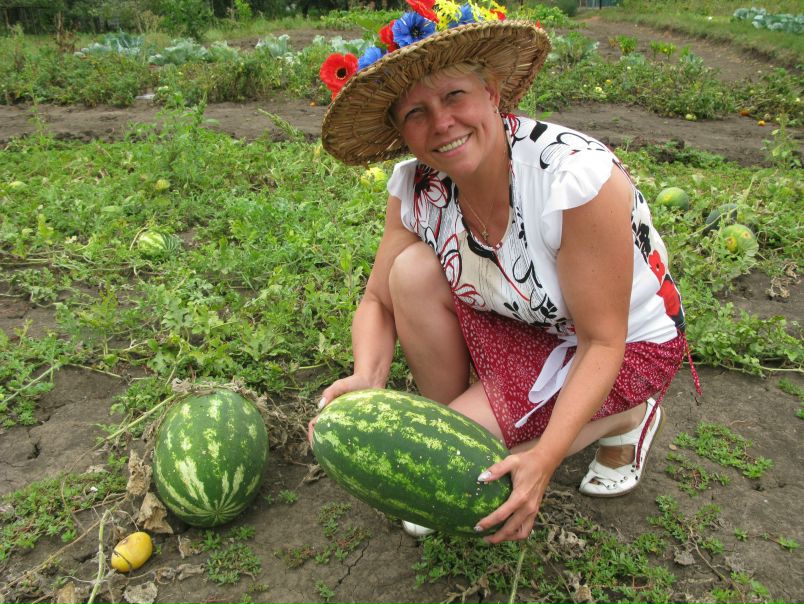 №7, Татьяна Корнеева №7, Татьяна Корнеева