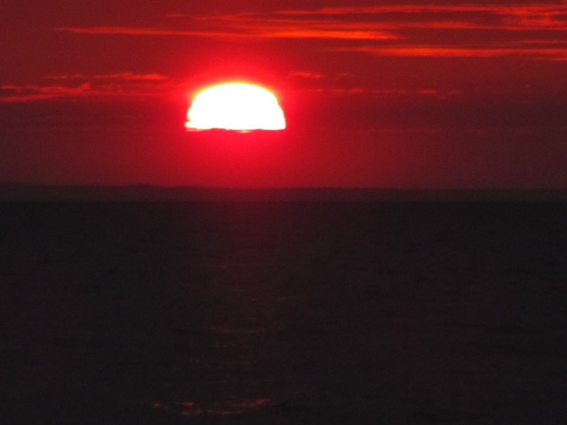 Роман Щелканов | Санкт-Петербург