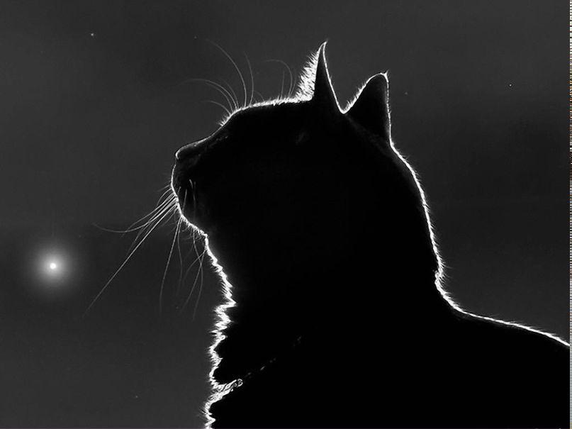 Екатерина Жильцова | 