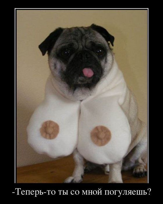 Кристина Середа | Киев