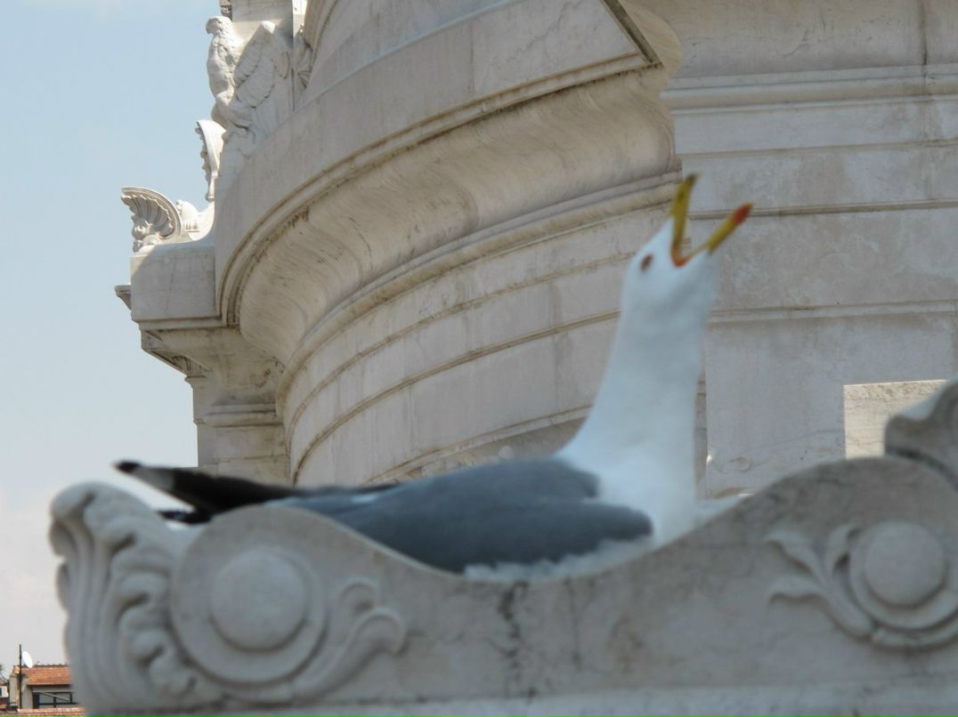Владимир Филинов Станиславович | Санкт-Петербург