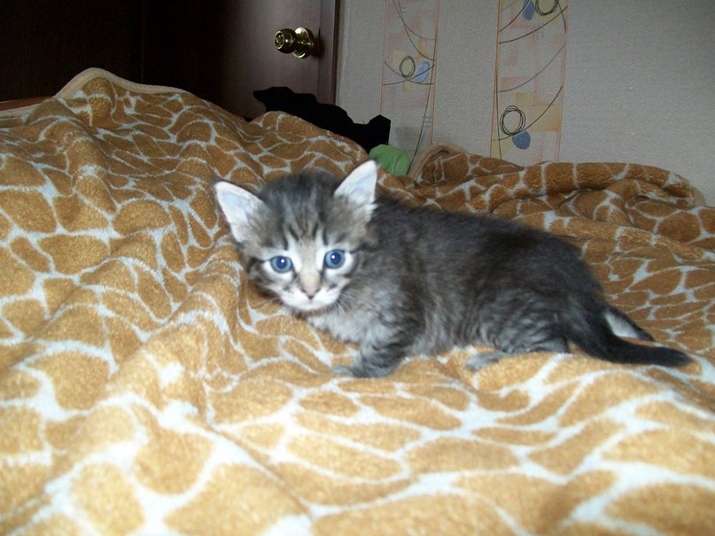 Гульнара Галиева | Уфа