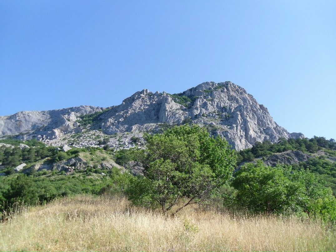 Инна Златкус | Несвиж