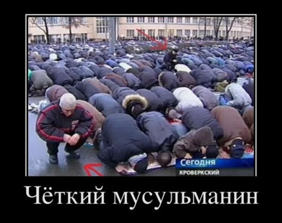 Arxangel Dark | Кириши