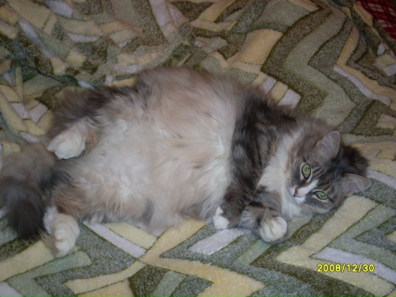 Наталья Александровна | Реутов