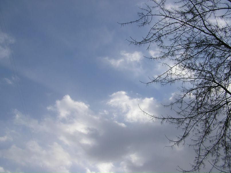 №55, Евгений Лебединский, 39 лет, Красноярск №55, Евгений Лебединский, 39 лет, Красноярск