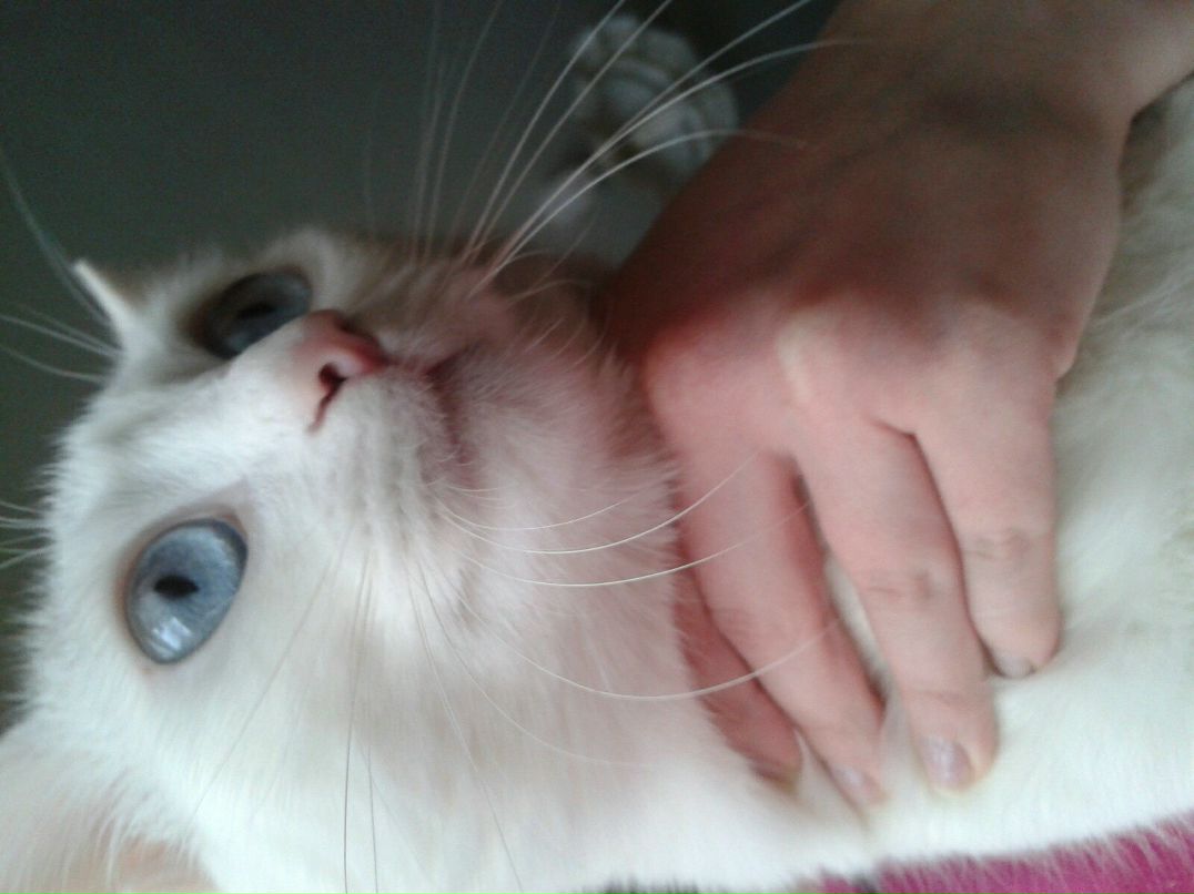 Руслан Сайранов | Казань